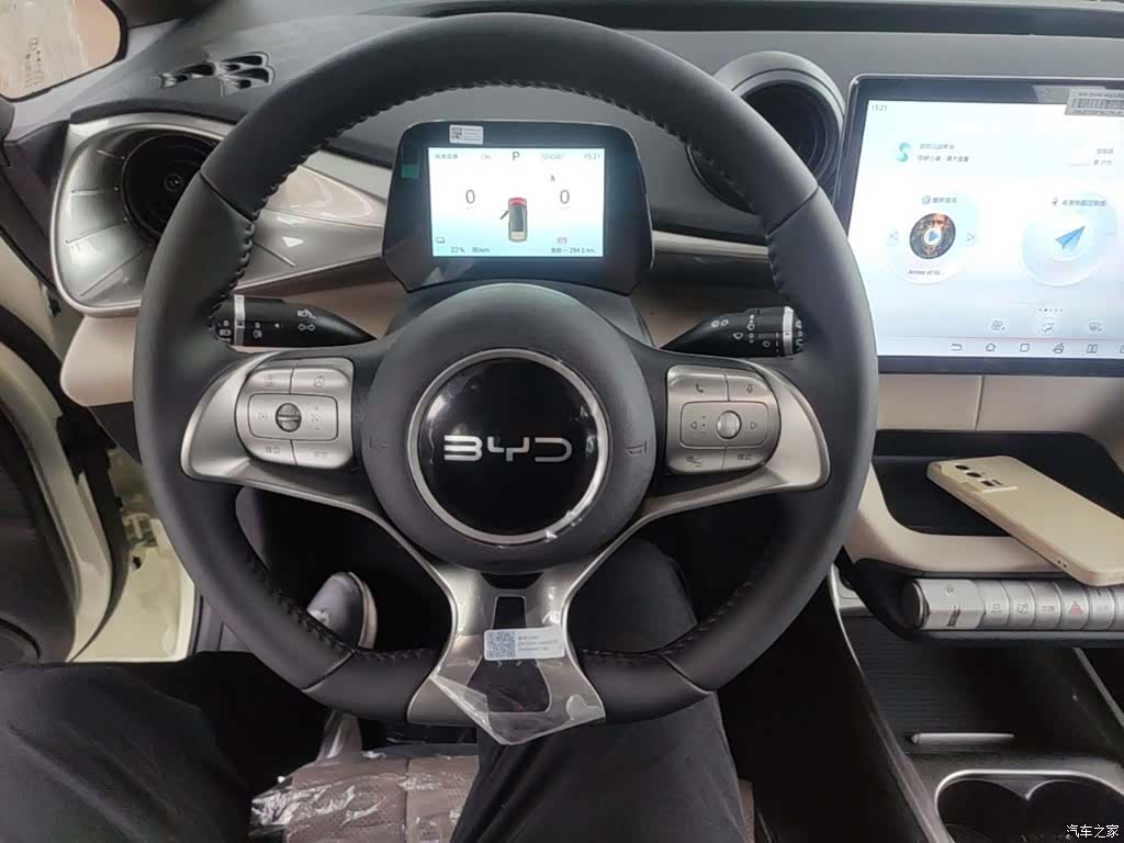 BYD Dolphin, 2026 11