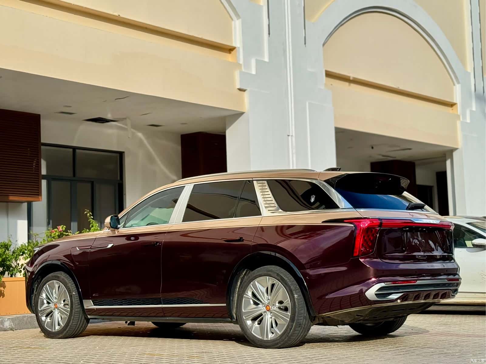 Hongqi E-HS9, 2021 19