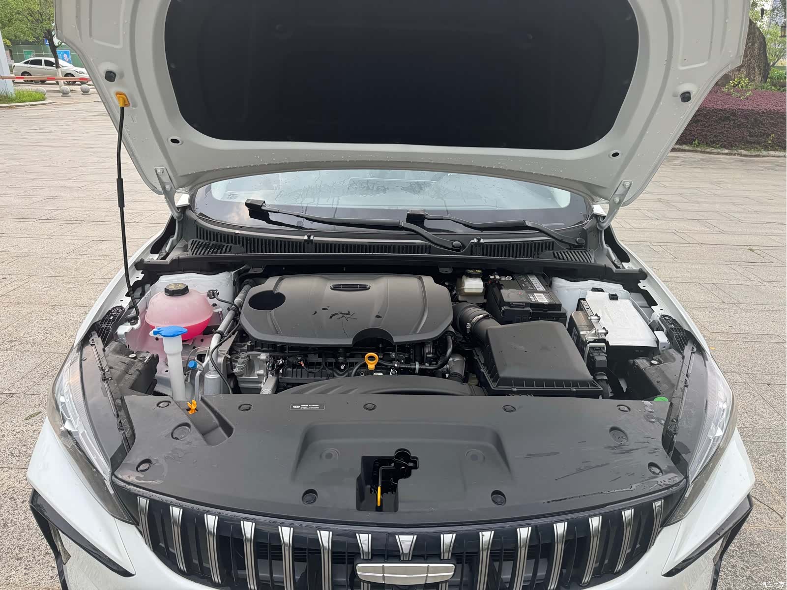 Geely Binray, 2026 9