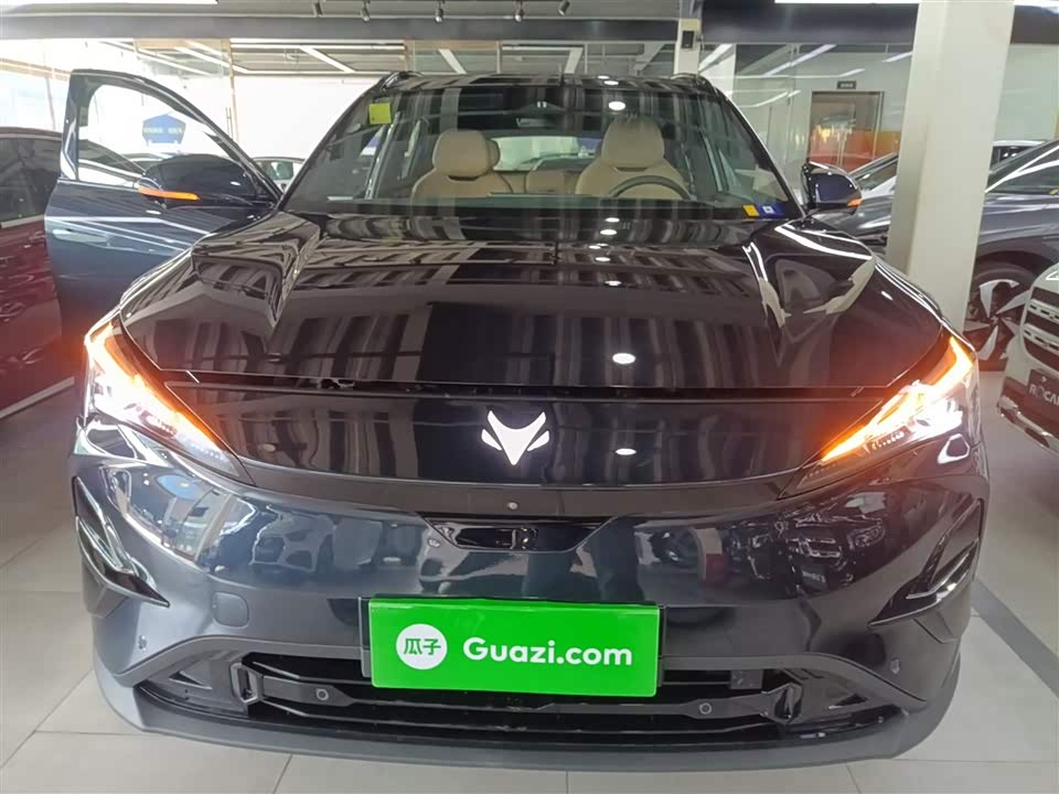 ARCFOX Polar Fox Alpha T5