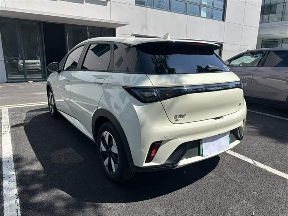 BYD dolphin