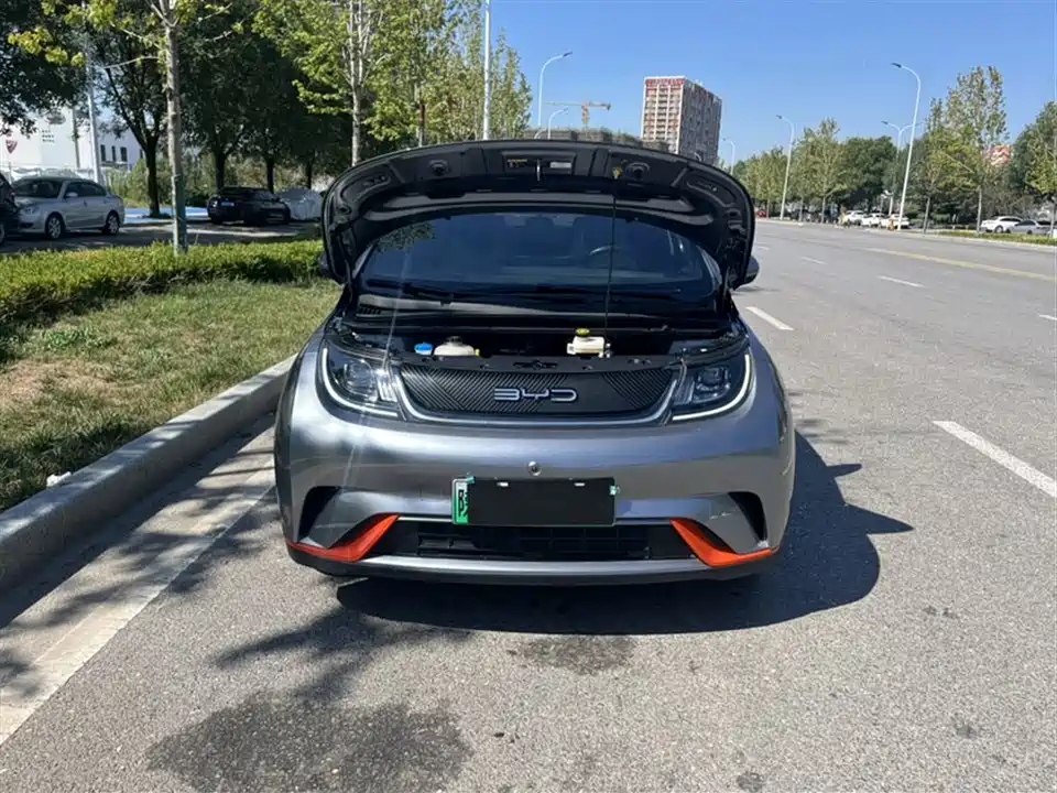 BYD dolphin