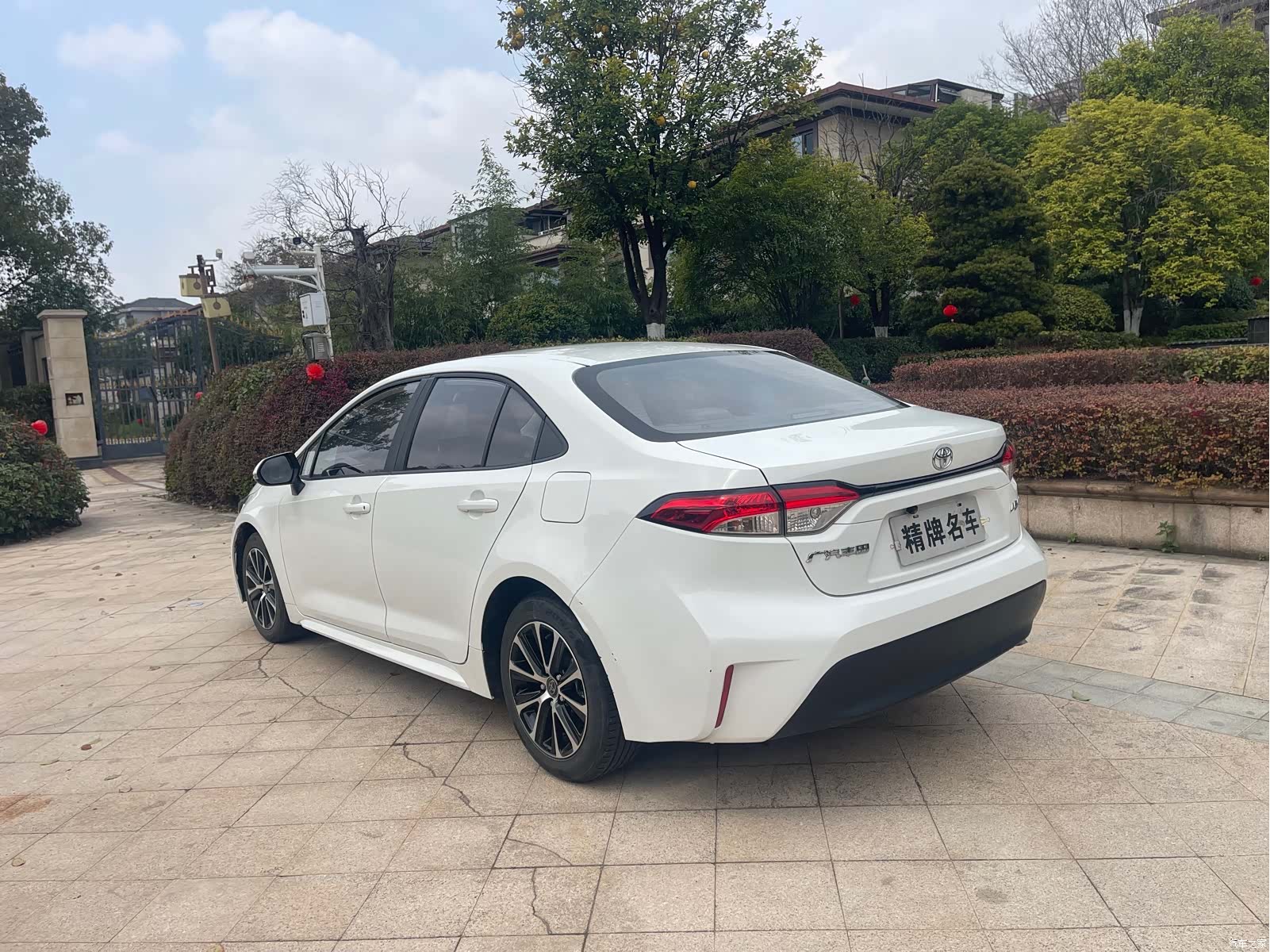 Toyota Levin, 2024 6