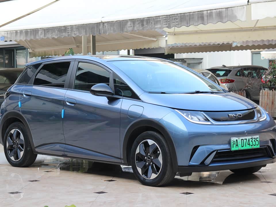 BYD dolphin