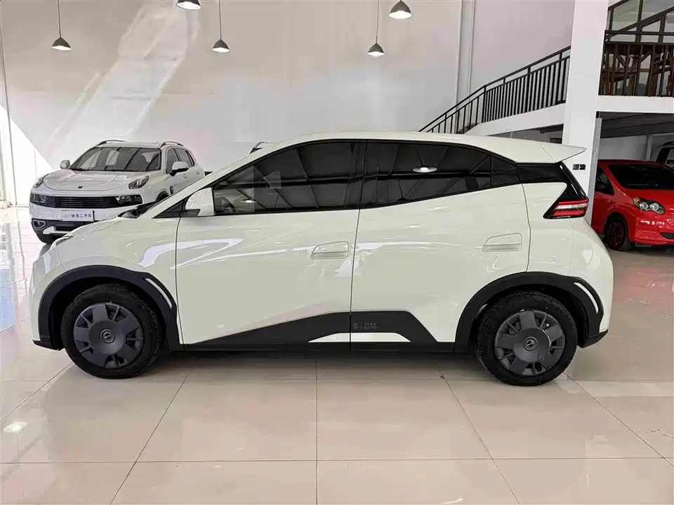 BYD Seagull