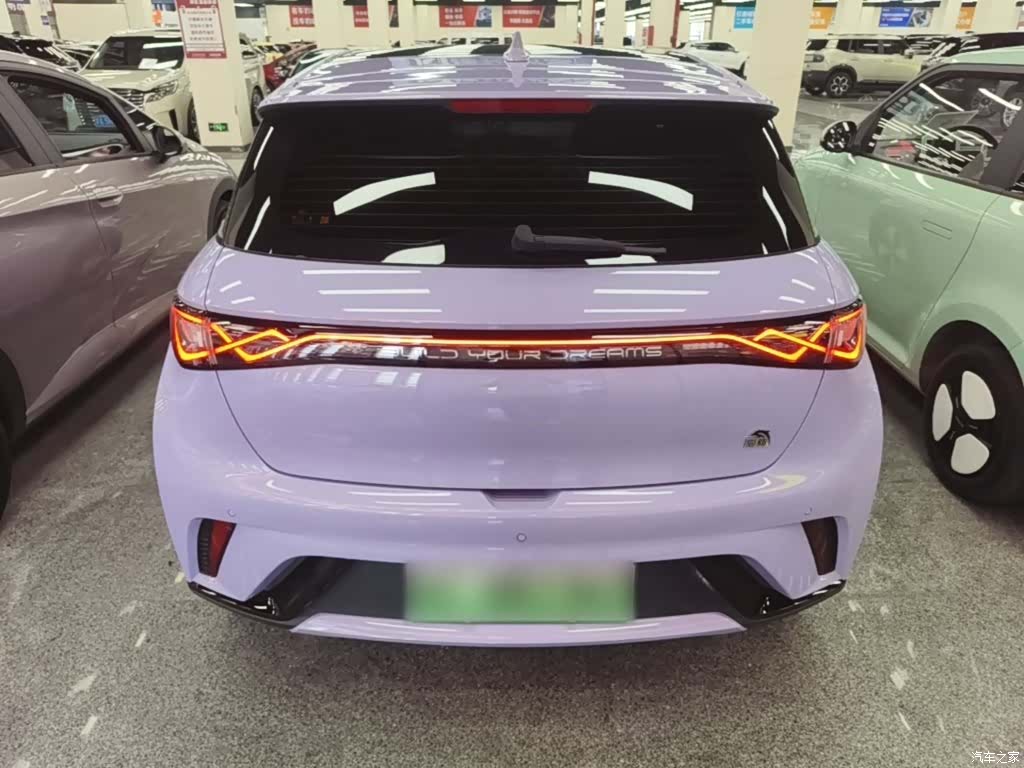 BYD Dolphin, 2024 6
