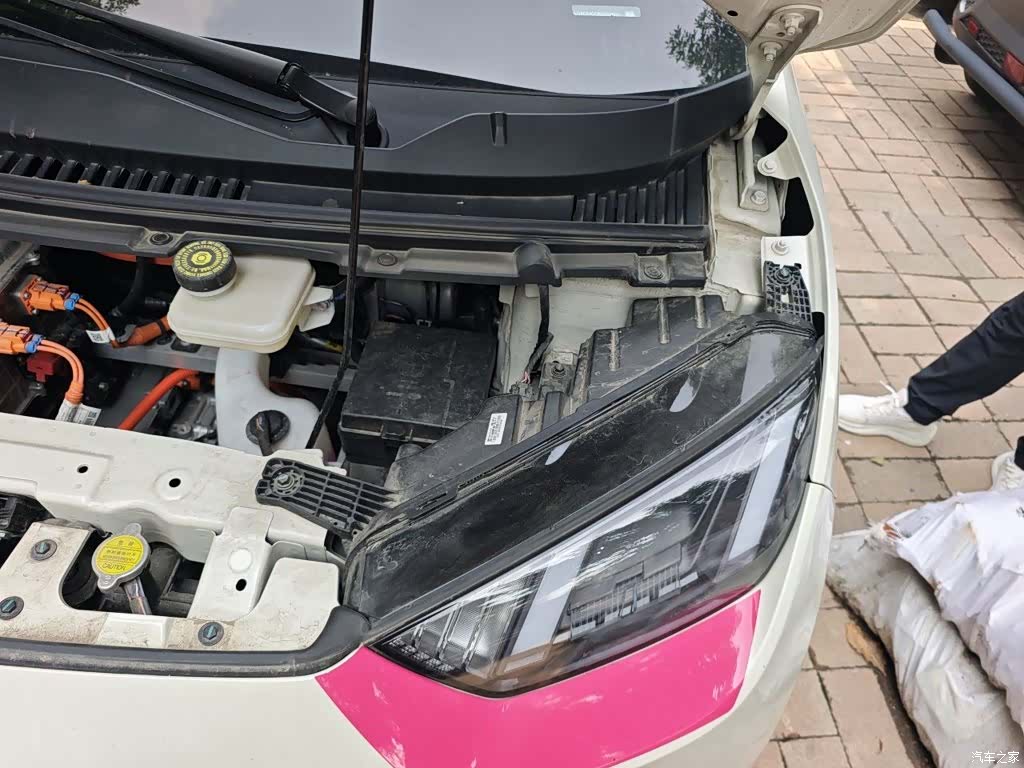 BYD Seagull, 2025 22