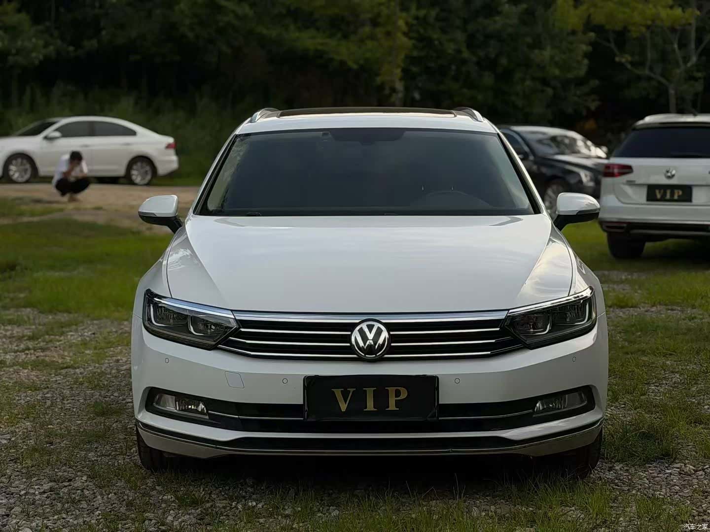 Volkswagen Variant, 2017 все фото