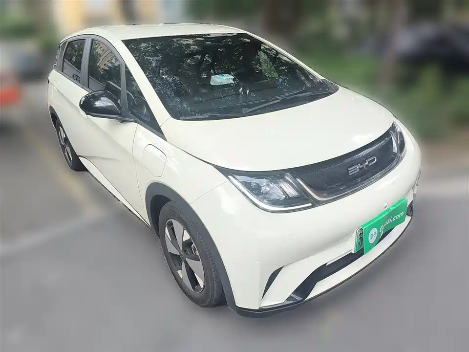 BYD dolphin