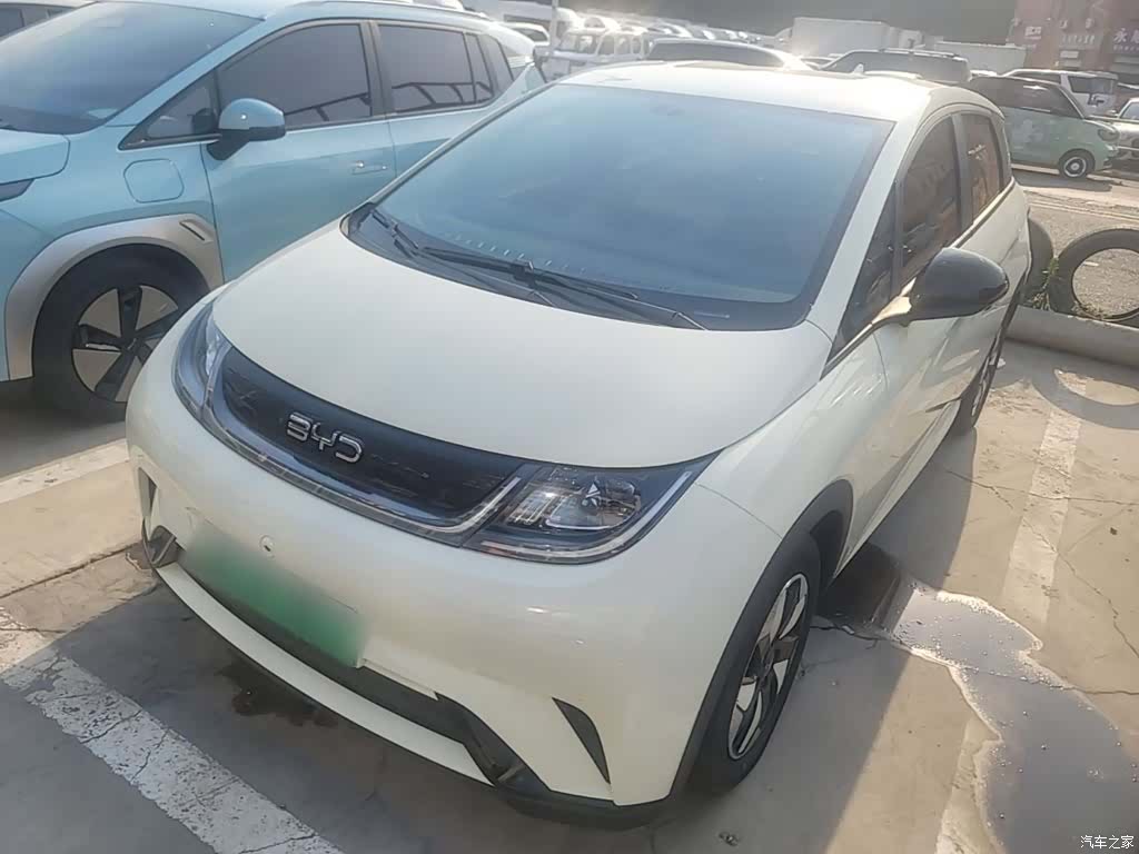 BYD Dolphin, 2024 2