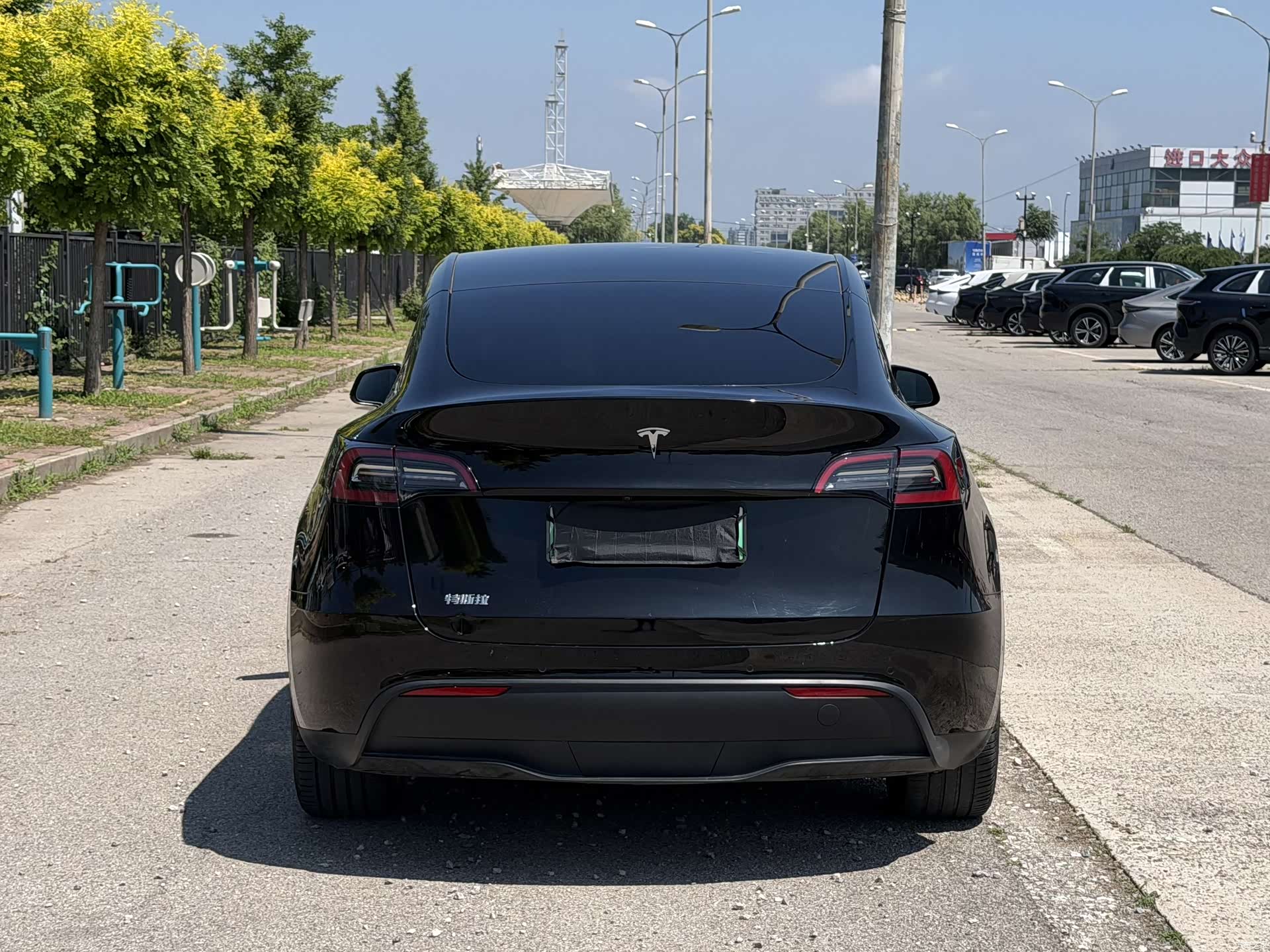 Tesla Model Y, 2022 все фото