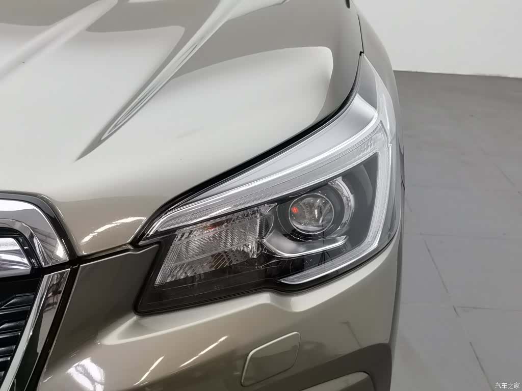 Subaru Forester, 2019 7
