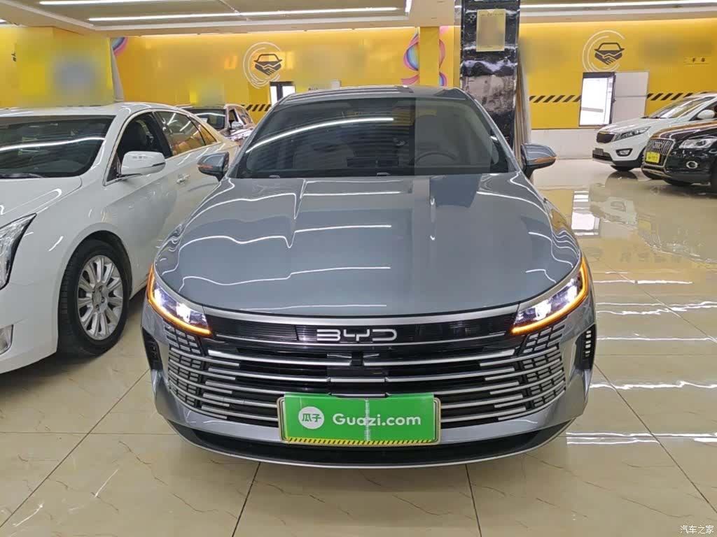 BYD Destroyer 05, 2024 3