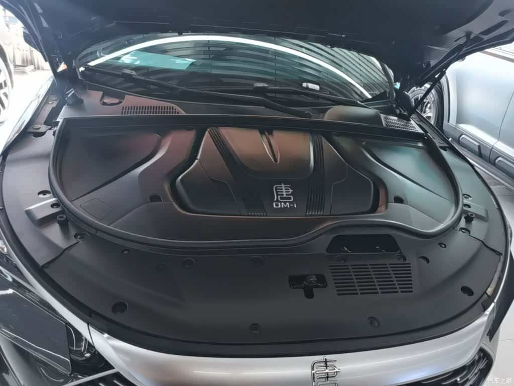 BYD Tang, 2024 20