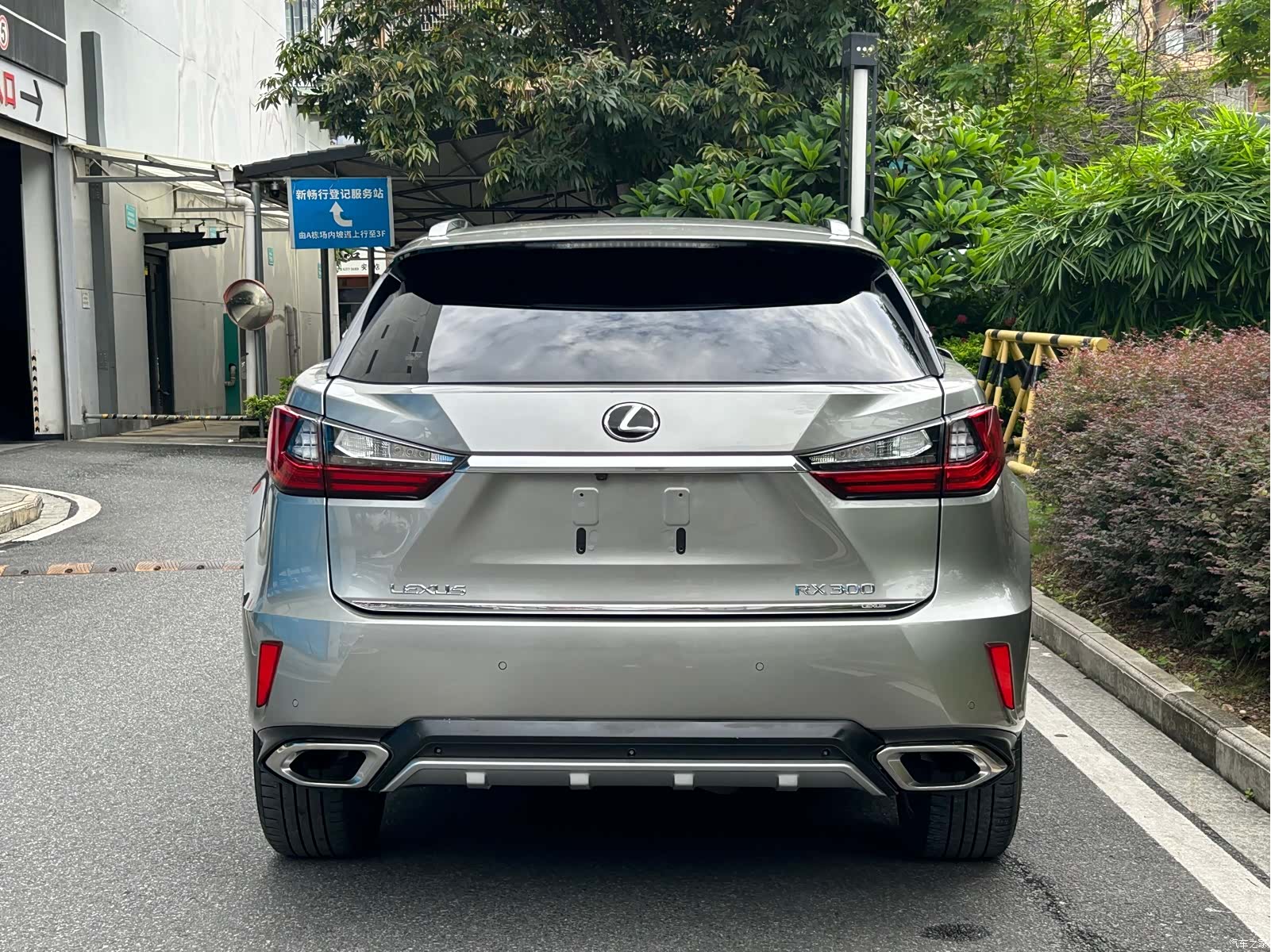 Lexus RX, 2018 все фото