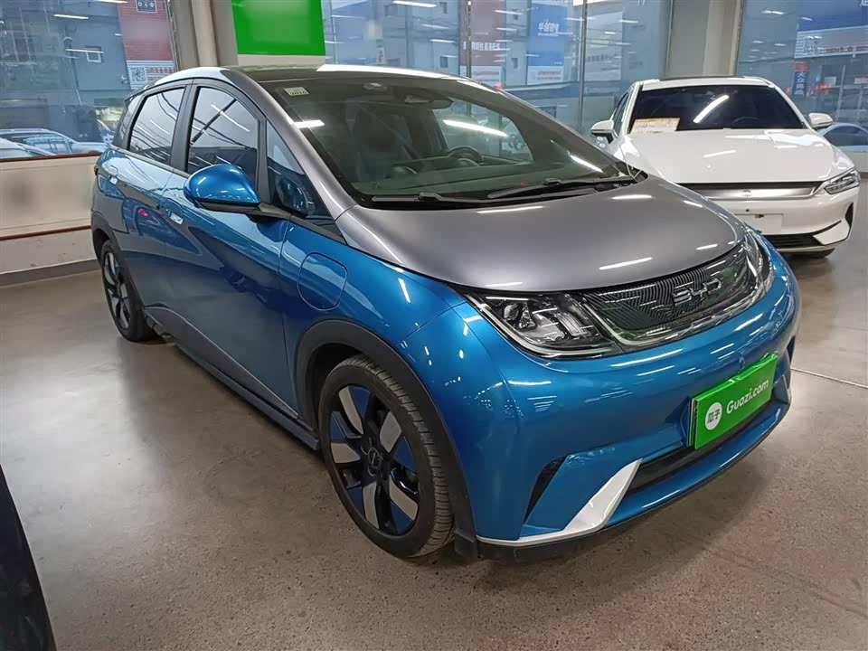 BYD dolphin