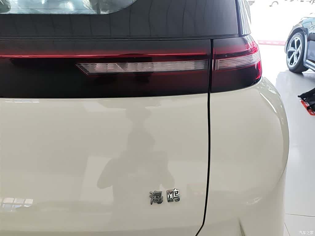 BYD Seagull, 2026 8