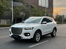 ����H6 2020�� 1.5GDIT �Զ������а�