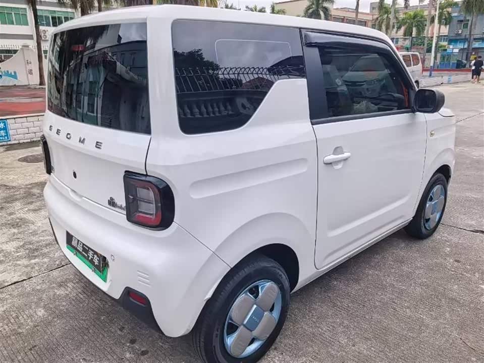 Geely Galaxy panda
