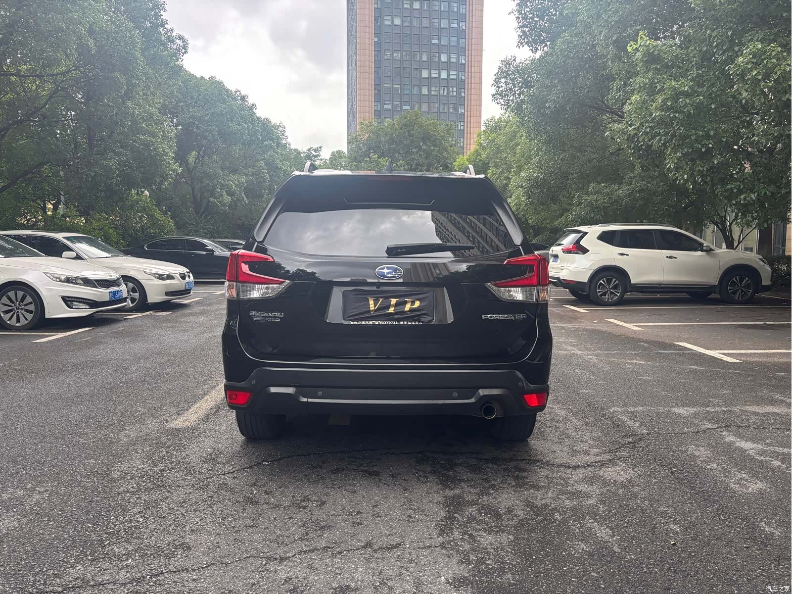Subaru Forester, 2020 6