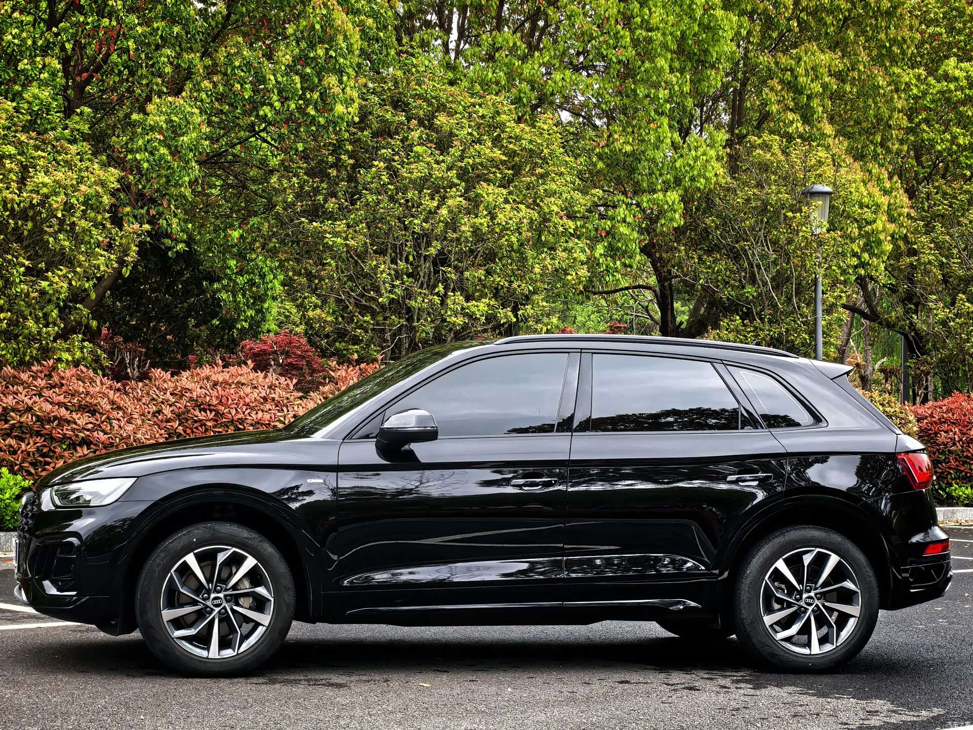 Audi Q5L, 2023 все фото
