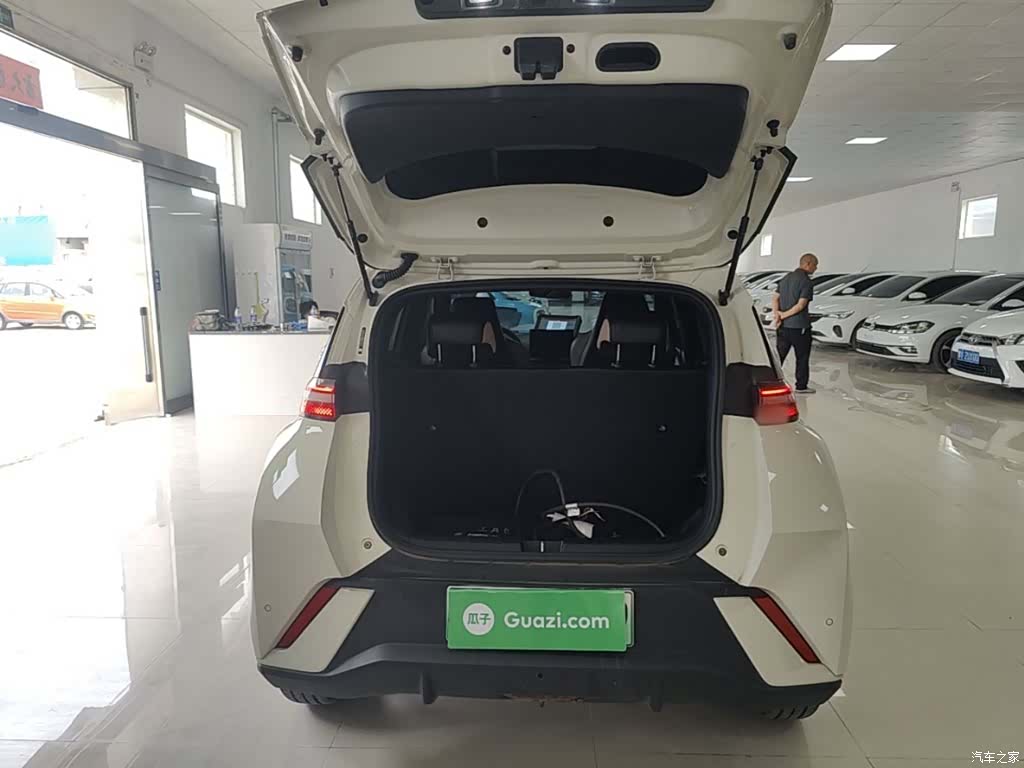 BYD Seagull, 2024 19