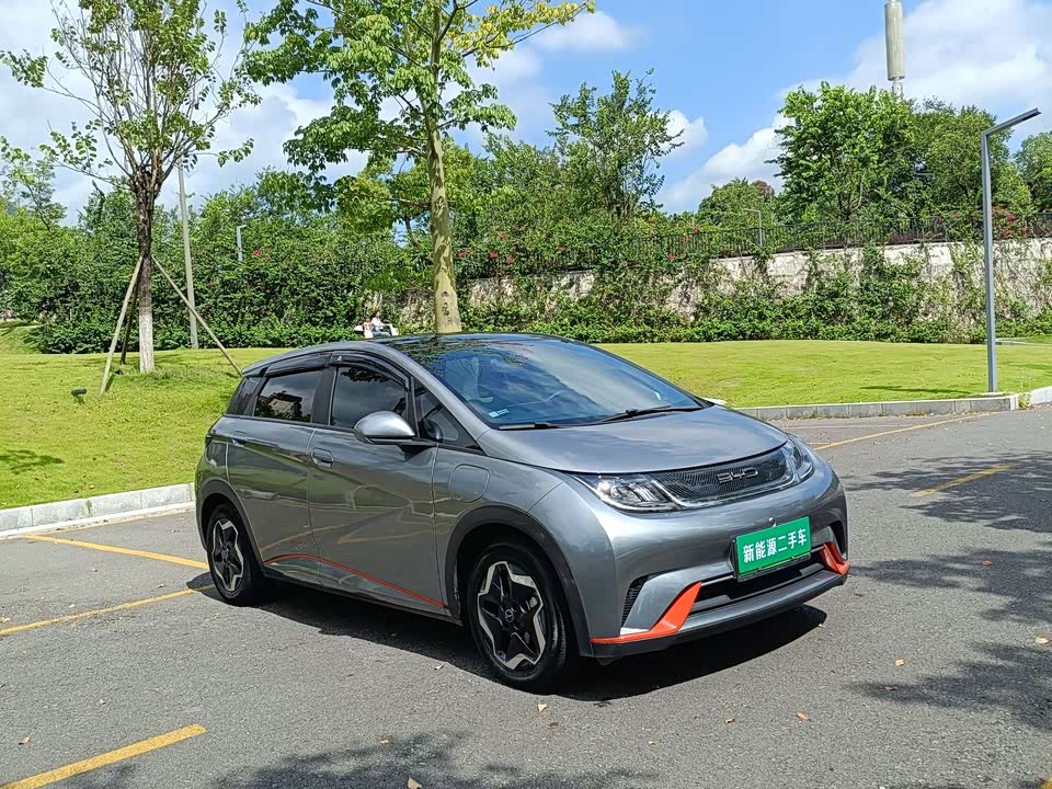 BYD dolphin
