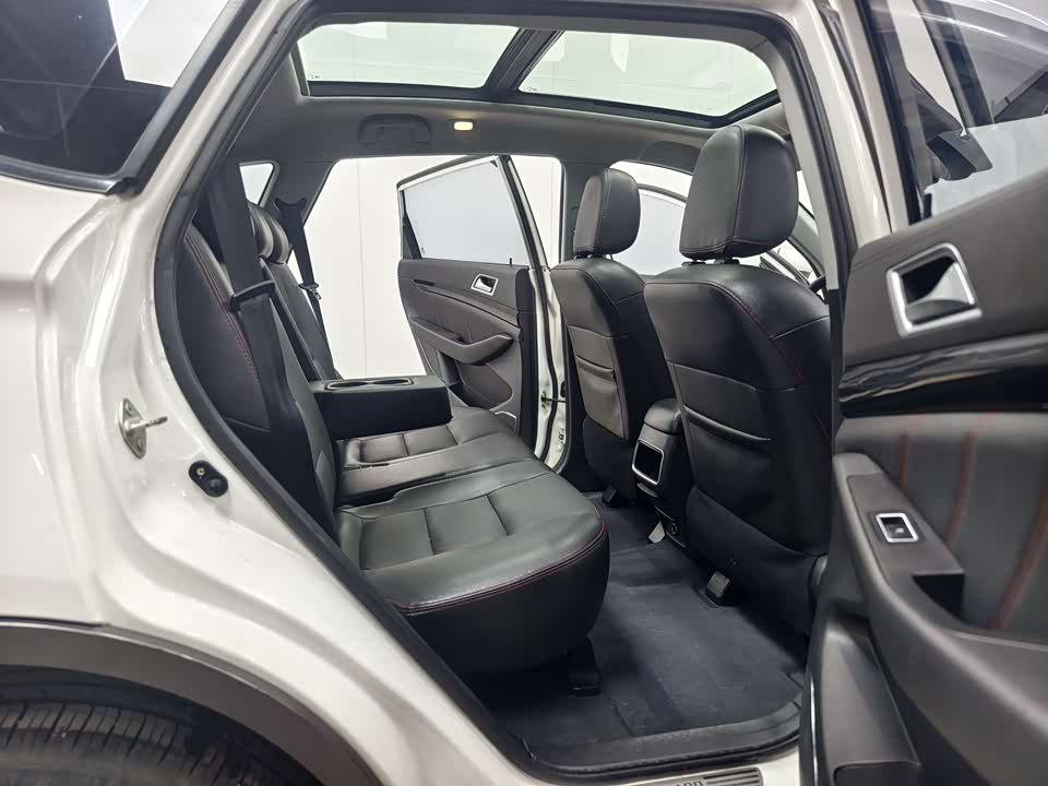 Leopaard Cheetah CS10