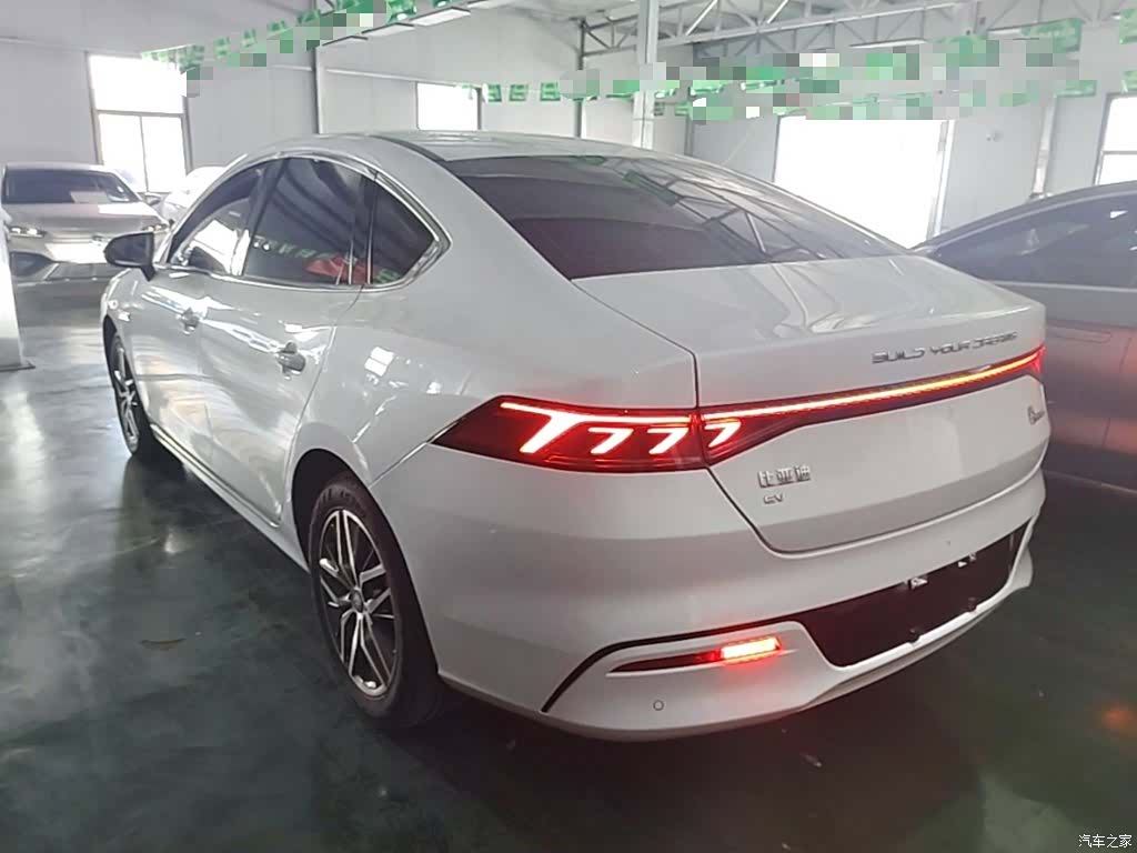 BYD Qin, 2024 все фото