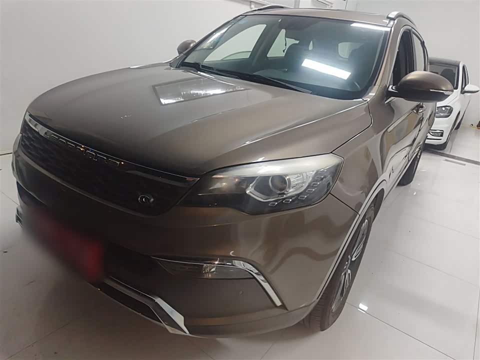 Leopaard Cheetah CS10