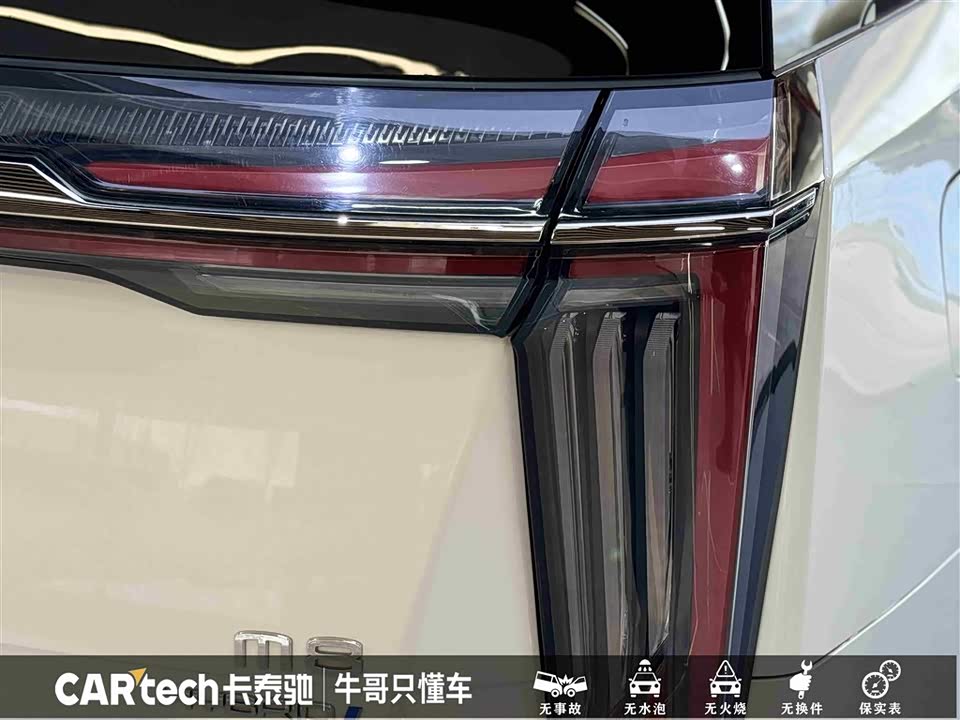 Trumpchi Trumpchi M8