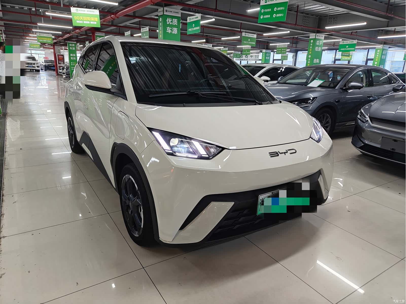 BYD Seagull, 2023 2