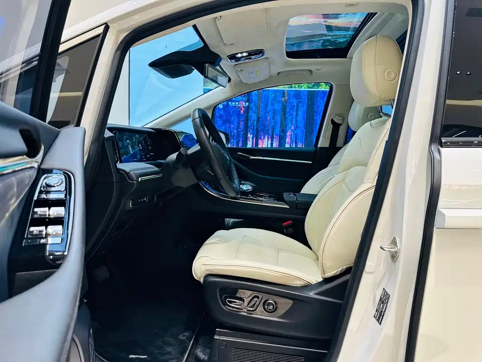 Trumpchi Trumpchi E9