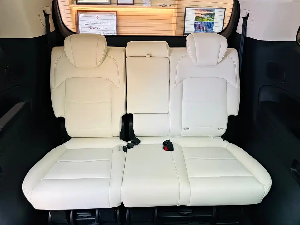 Trumpchi Trumpchi E9