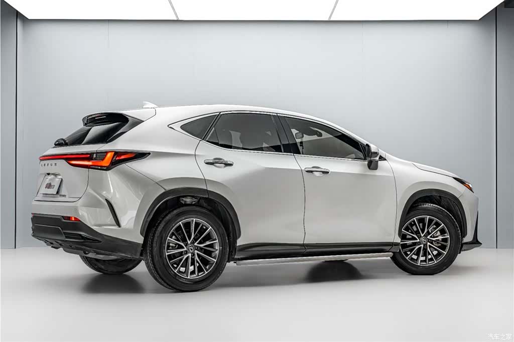 Lexus NX, 2023 все фото