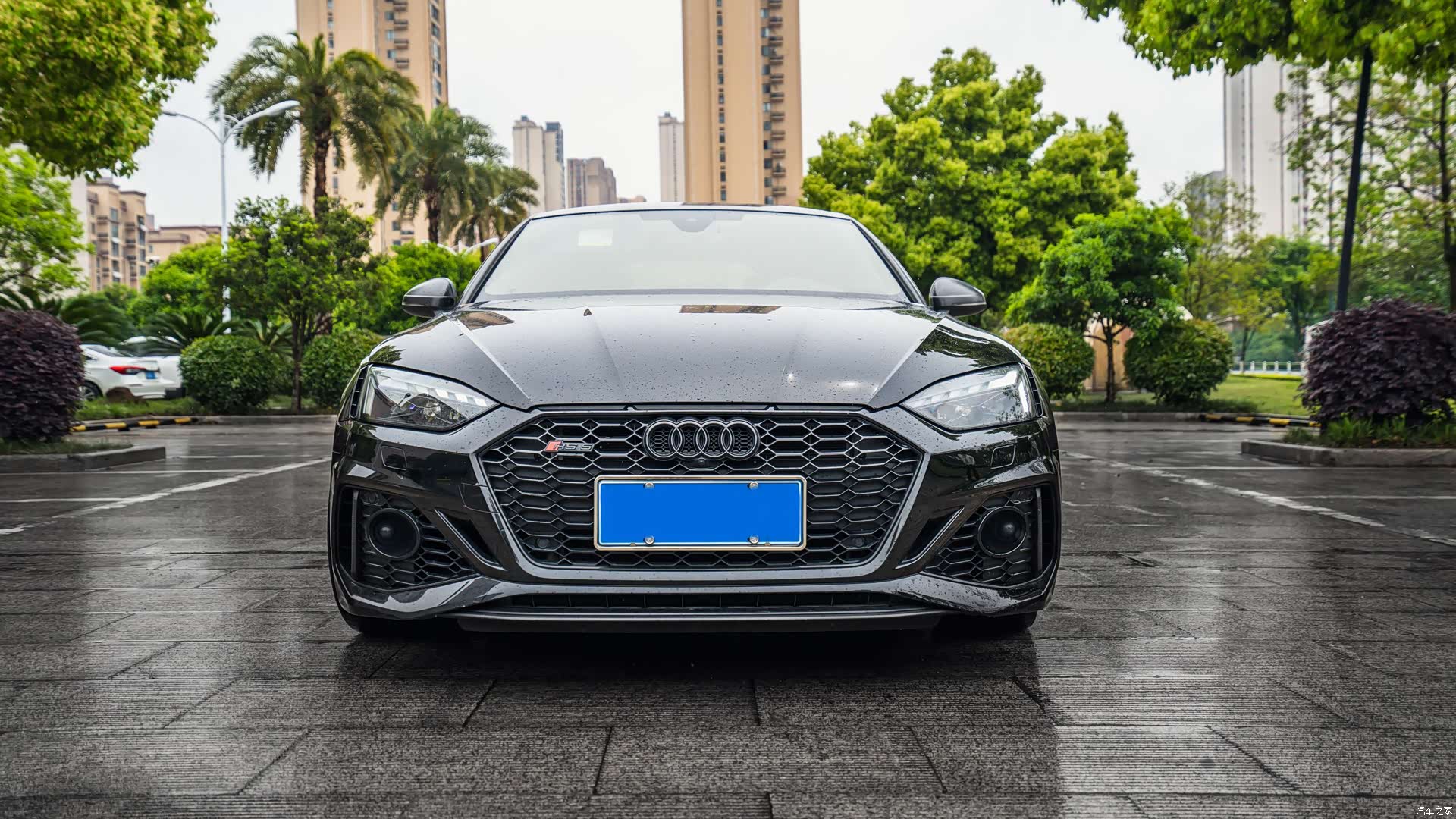 Audi RS, 2024 2
