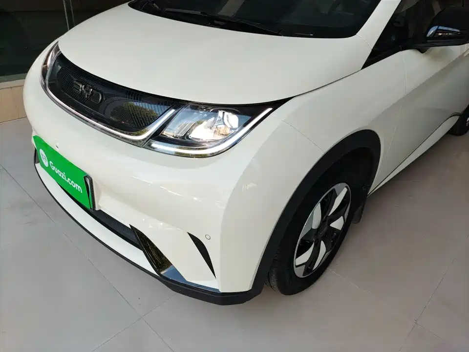 BYD dolphin