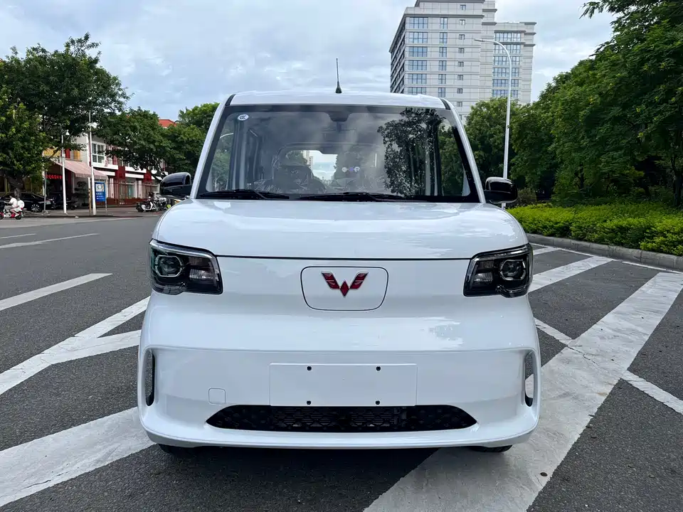 Wuling Wuling Zhiguang