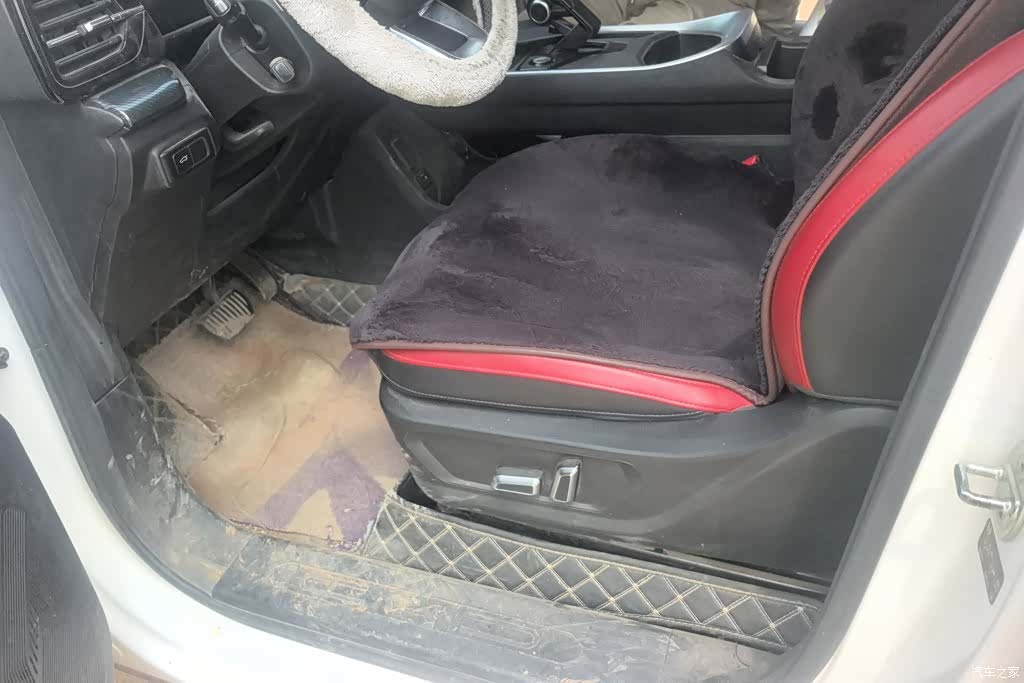 Haval Cool Dog, 2023 9