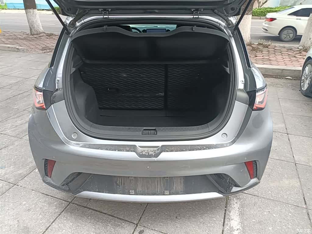 BYD Dolphin, 2024 19