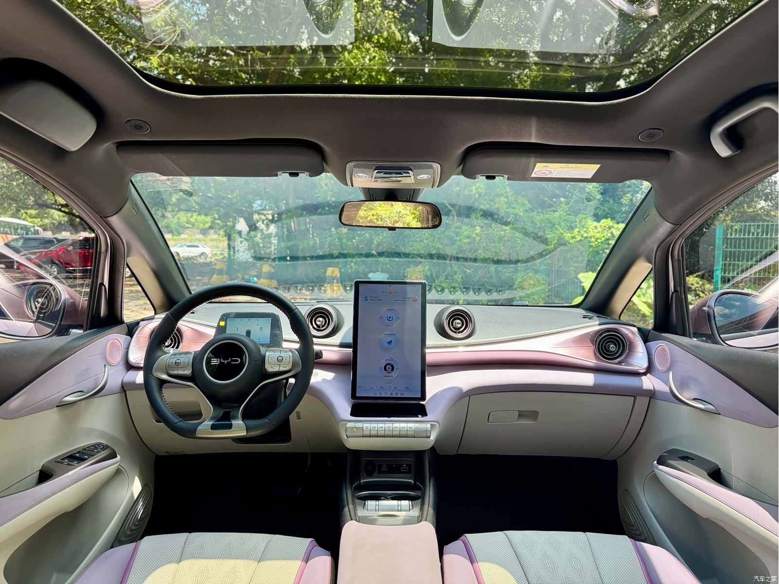 BYD Dolphin, 2024 11