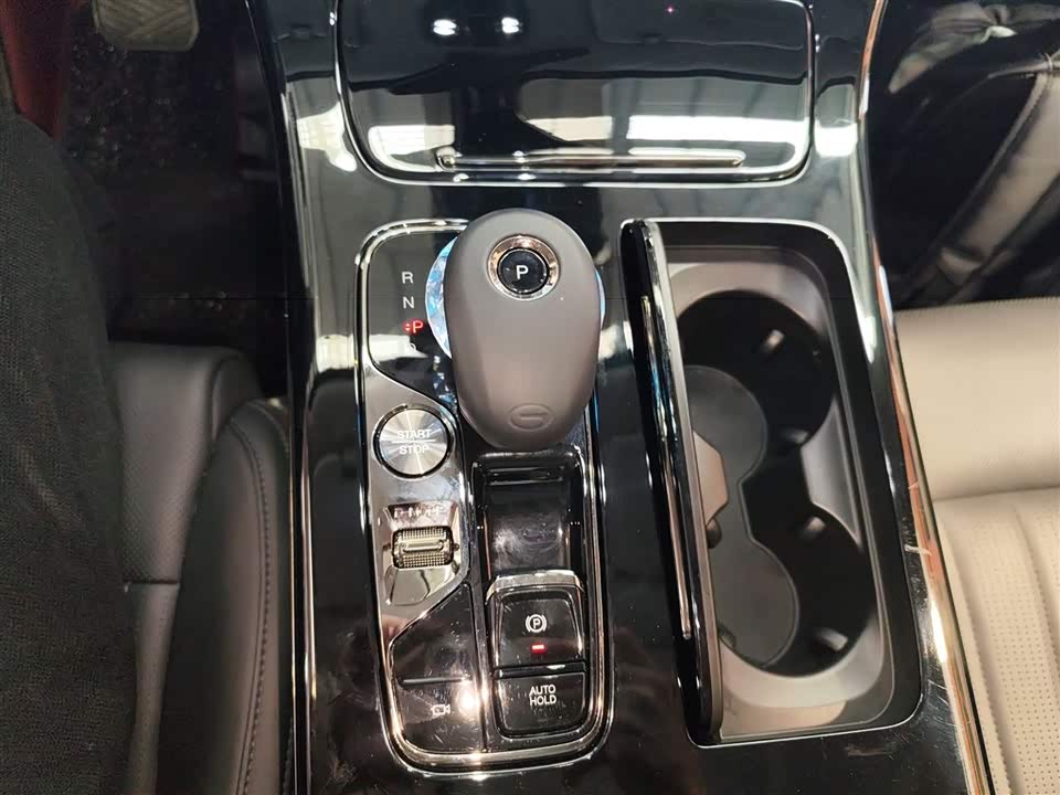 Trumpchi Trumpchi E9