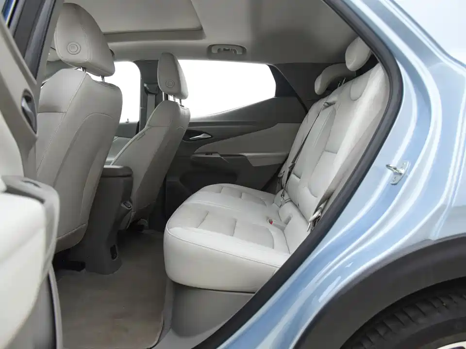 Buick Slightly blue 7