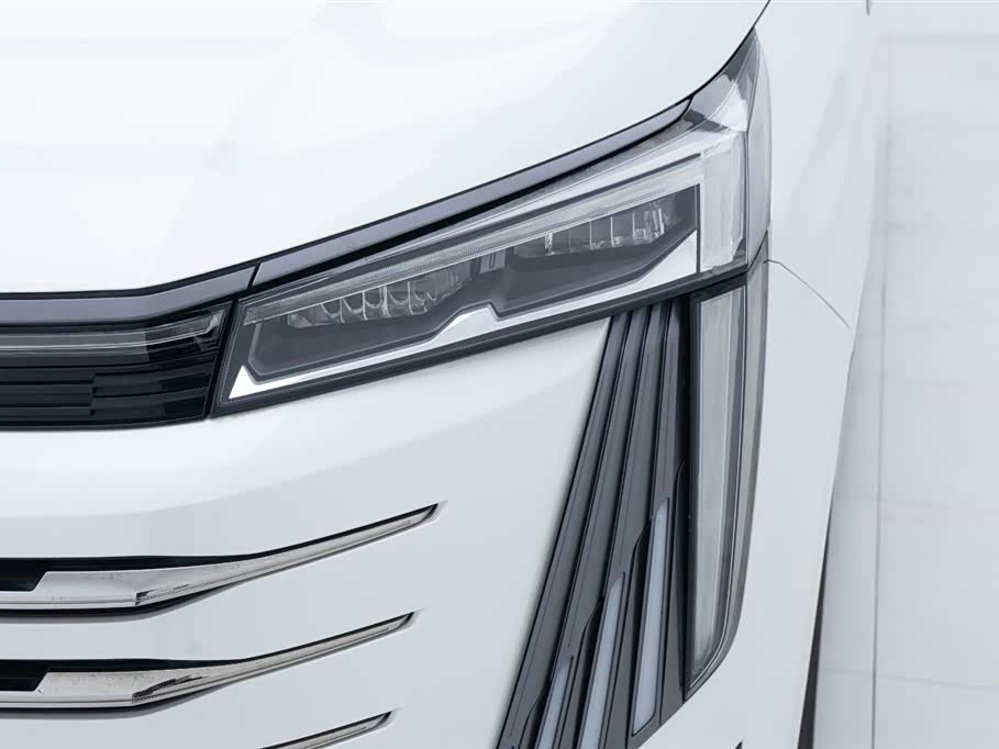 Trumpchi Trumpchi E9