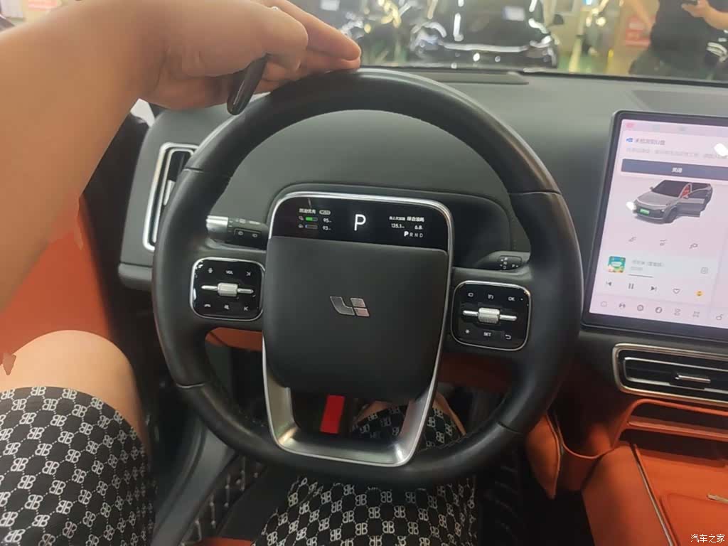 Li Auto L8, 2023 11