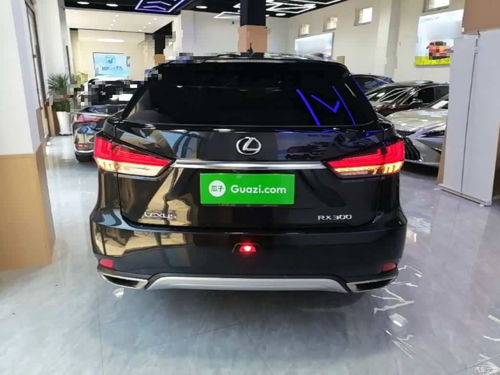 Lexus RX, 2022 6