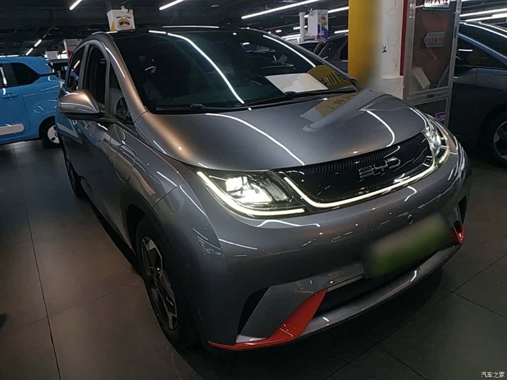 BYD Dolphin, 2022 4