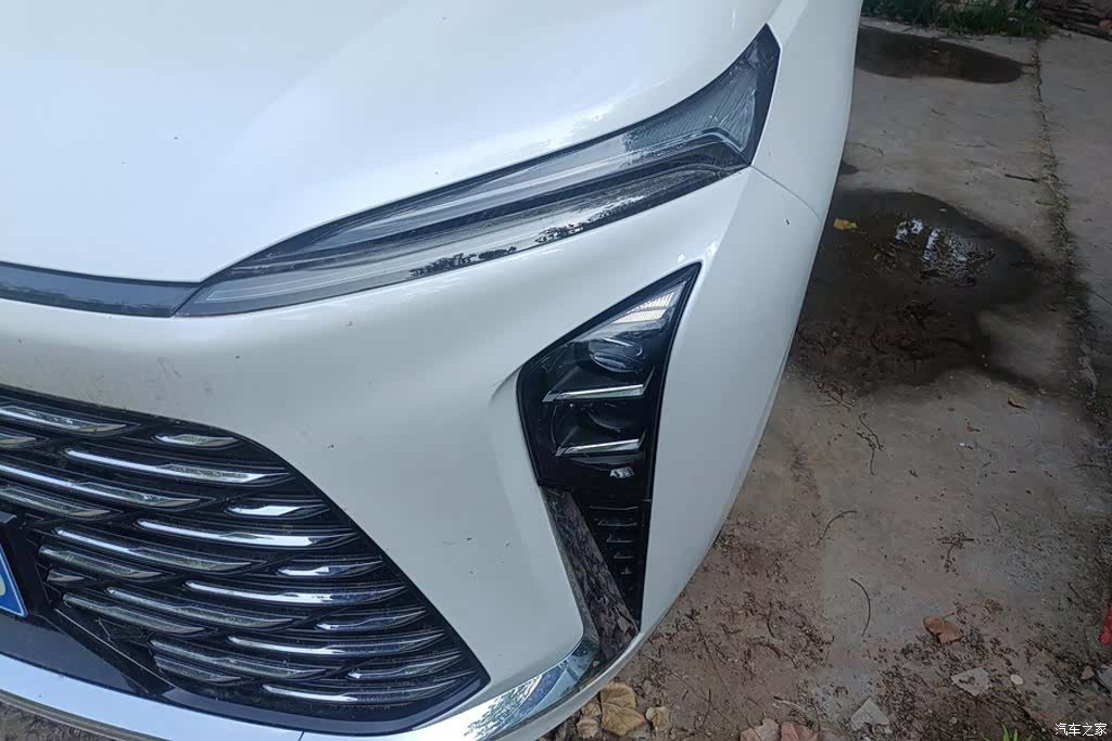 Buick GL8, 2024 все фото