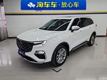 ��ԣ 2021�� EcoBoost 225 ������ 6��