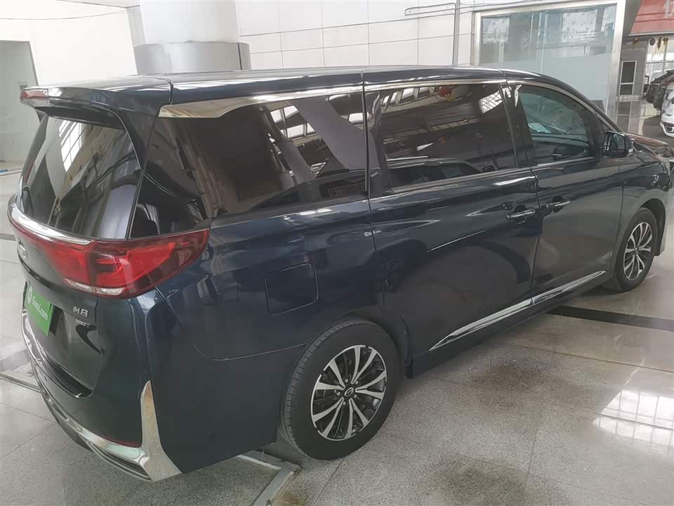 Trumpchi Trumpchi M8